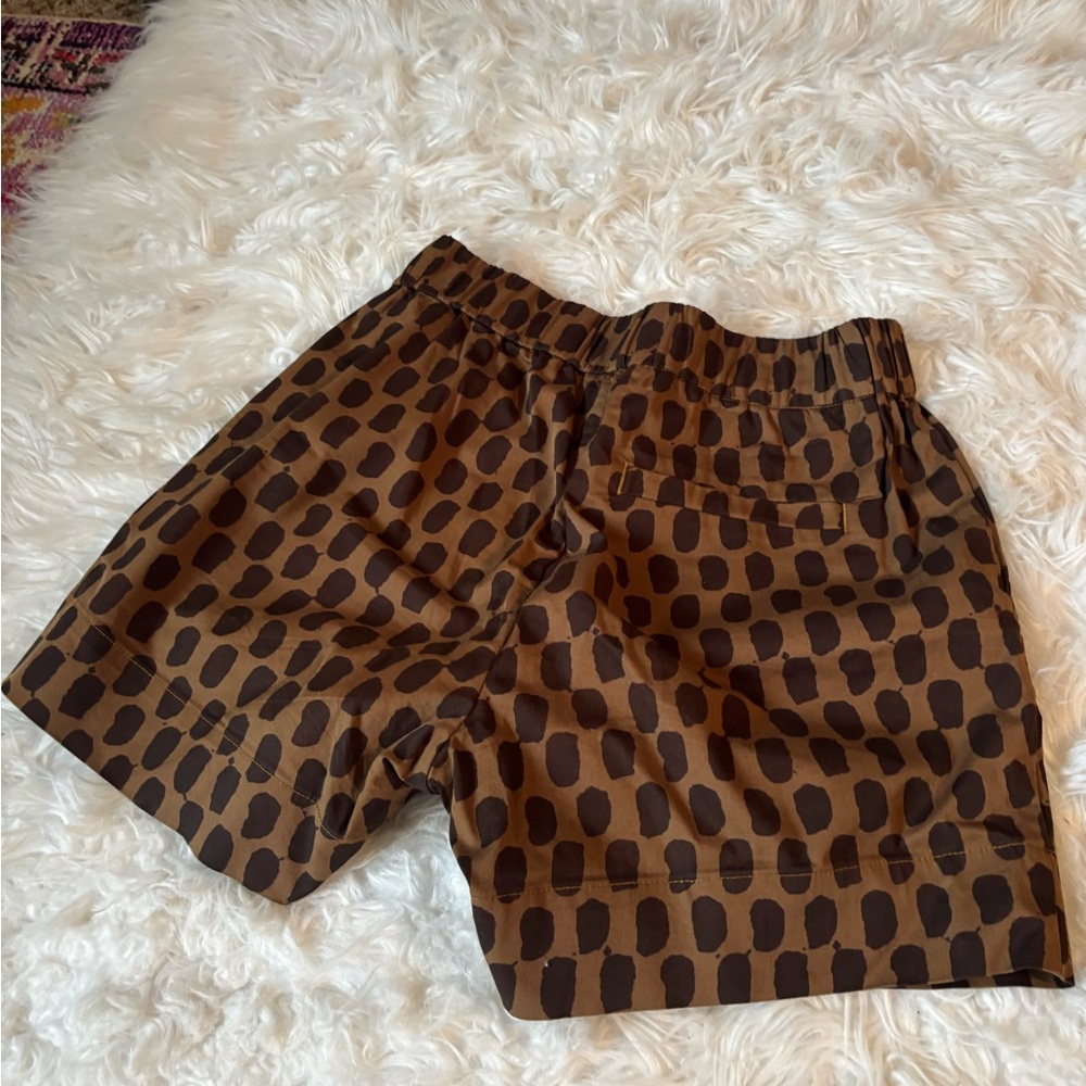 Everlane Brown and Black Flat Front Shorts